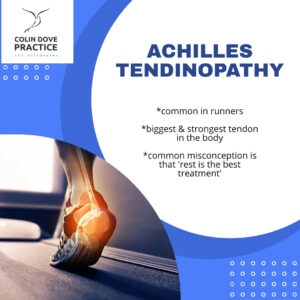 Read more about the article Achilles Tendinopathy
