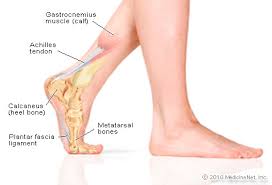 Read more about the article Foot Pain