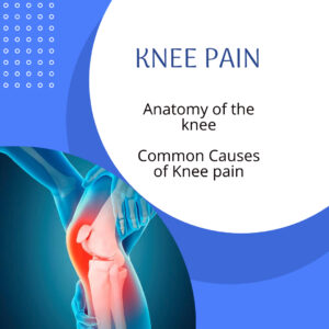 Read more about the article Knee Pain